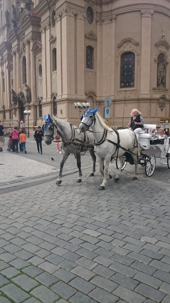 Det finns gott om Hästtaxin i Prag. Fina Ekipage men kan inte annat än tycka synd om hästarna.